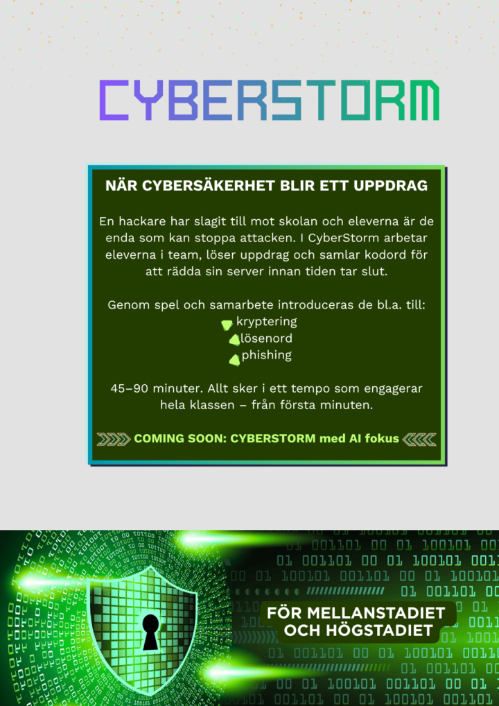 cyberstorm-web